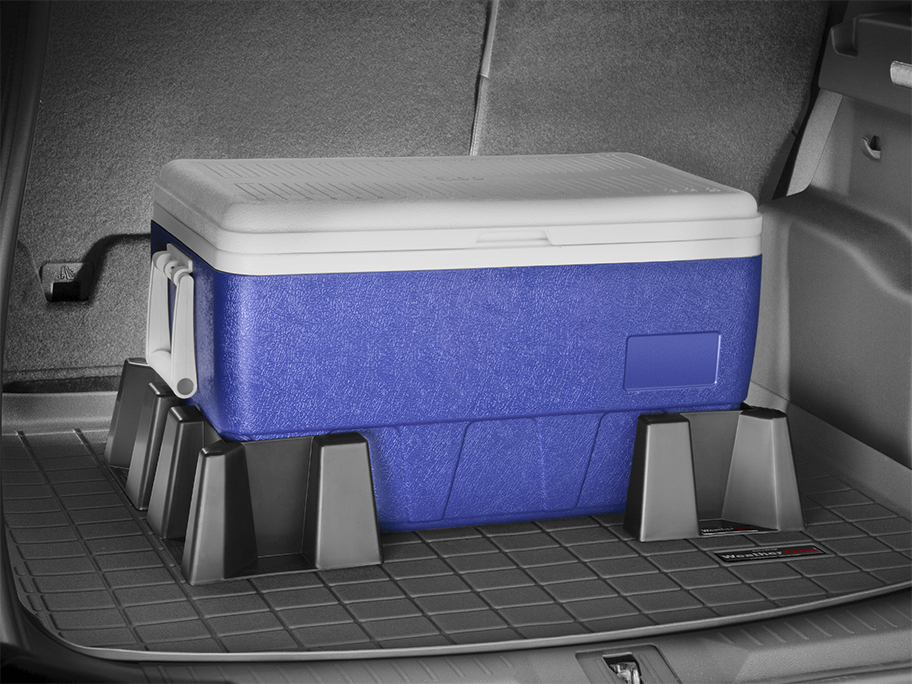 CargoTech