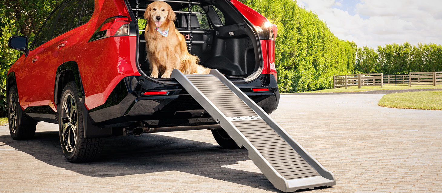 Vehicle Pet Accessories