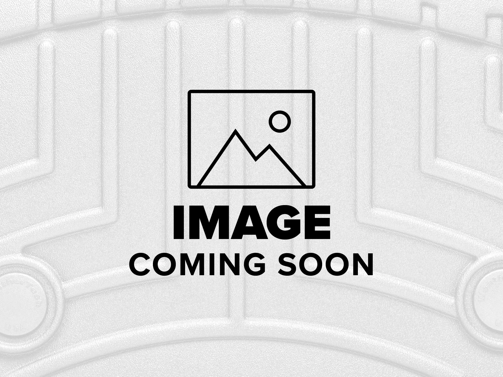 Pontiac Vibe Stone & Bug Deflector image number null